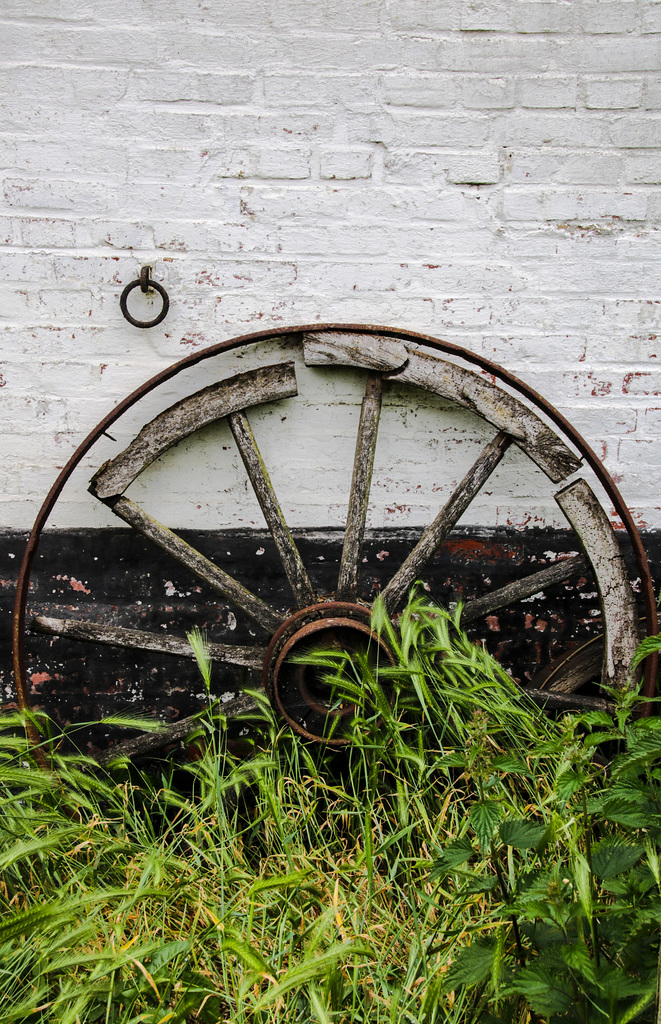 A Rural Stillife
