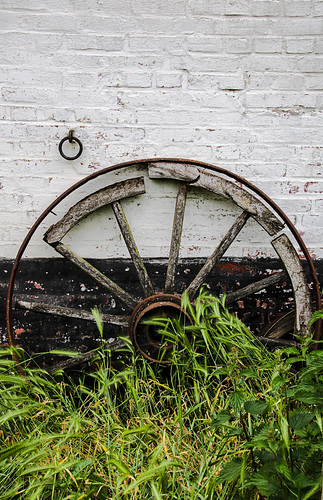 A Rural Stillife