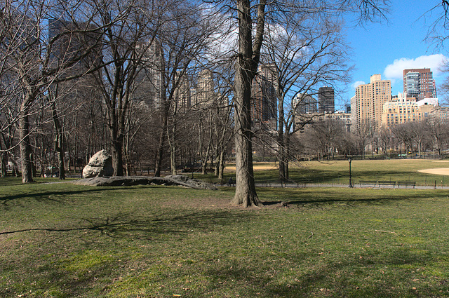 Central Park