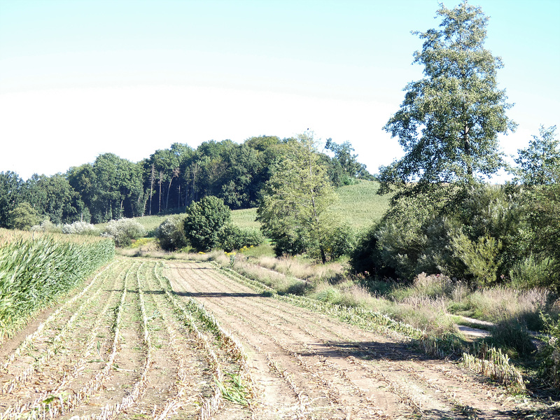 geerntet