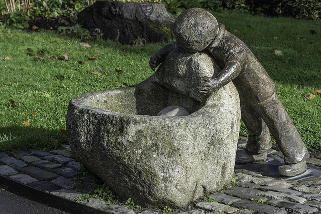 in the National Botanic Gardens of Ireland (© Buelipix)