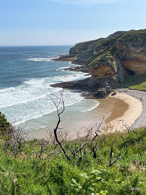 From the clifftop