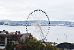 Seattle Eye