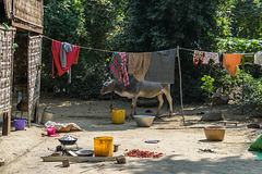 Zwischehalt in der Nähe von Myinmu am Irrawaddy (© Buelipix)