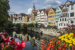 auf der Eberhardsbrücke in Tübingen - P.i.P.  (© Buelipix)