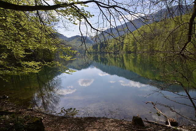 Biogradska Jezero.