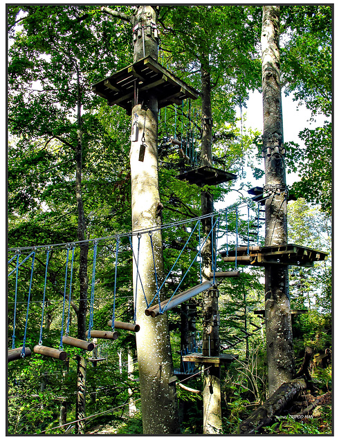 Wasserfallen Klettergarten