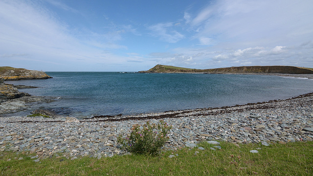 Hen Borth in all its beauty.