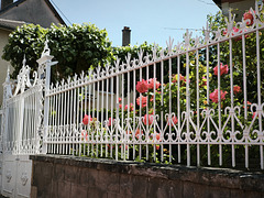 IMG 20250521 113628