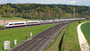 260417 Mumenthal ICE DB