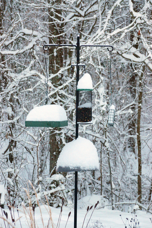 Snow on the Bird Feeders