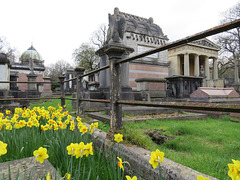 norwood cemetery, london