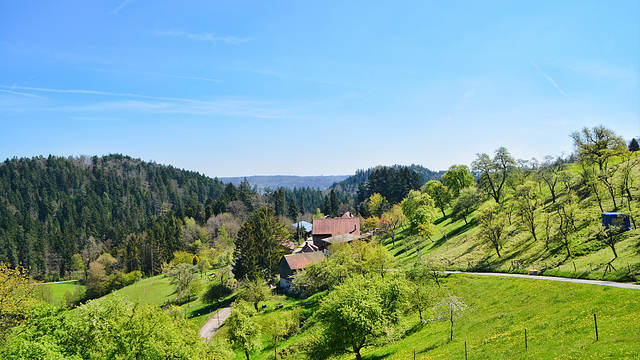 Schwäbische Wald