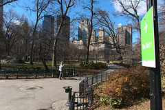 Central Park