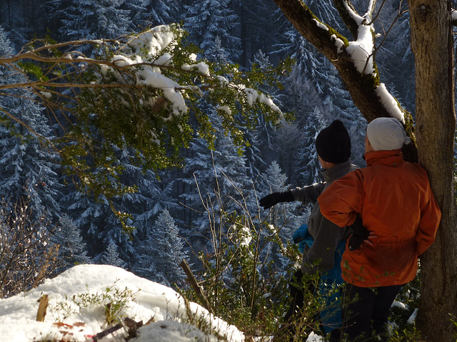 20150101 -03 Raquettes Vercors (31) al