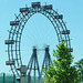 Riesenrad im Prater