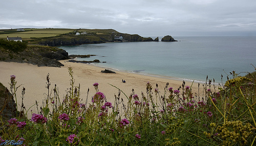 Trevose Head