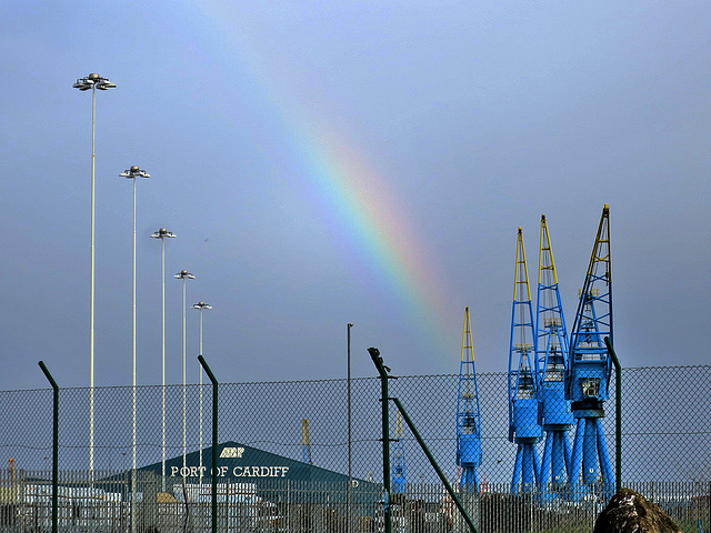 Docks rainbow