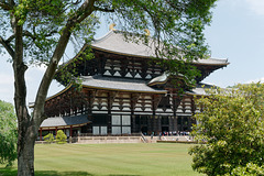 Temple Daibutsu-den (大仏殿) (2)
