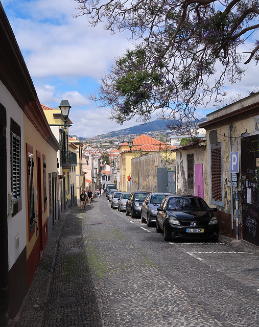 Cobbled street