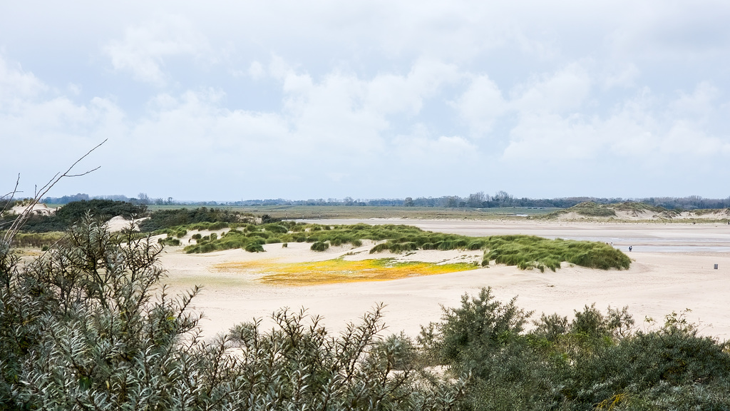 Niederlande / Belgien - Het Zwin