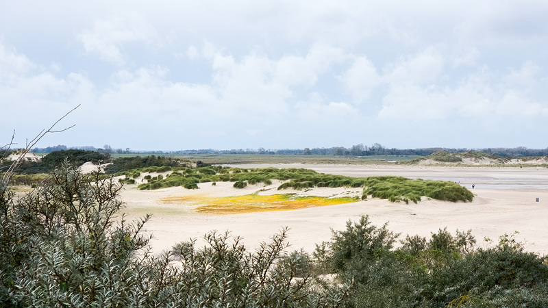 Niederlande / Belgien - Het Zwin