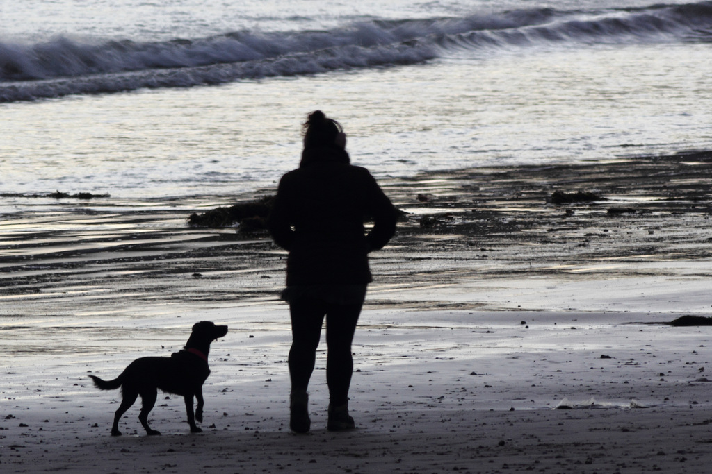 Dog silhouette