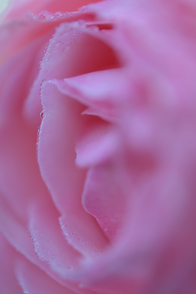 DSCF6483