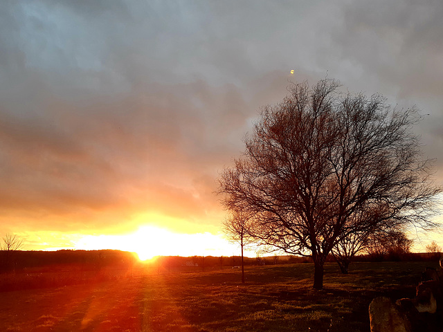 Lumière du soir