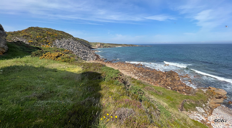 Moray Coastline