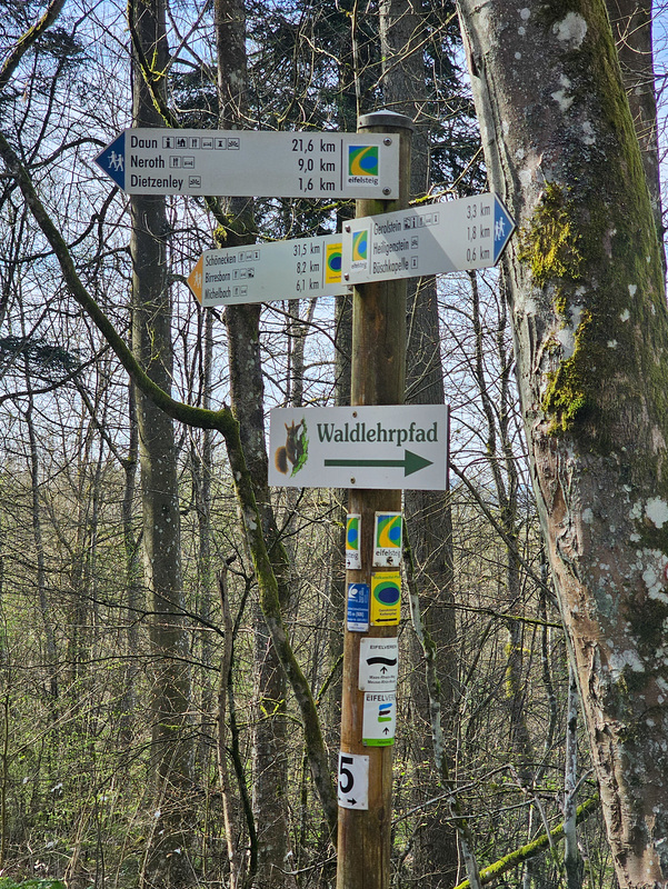 Im Schilderwald