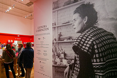 Artiste, féministe et écologiste