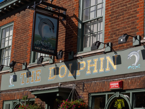 The Dolphin