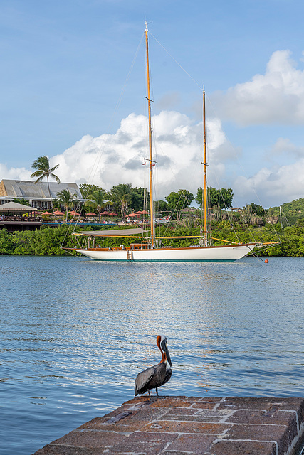 Nelson's Dockyard