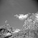 2020m03-05