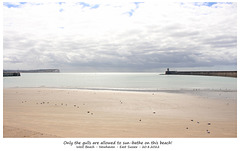 Newhaven West Beach - 20 5 2022