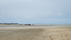 Niederlande / Belgien - Het Zwin