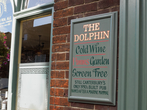 The Dolphin