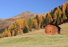 Herbstfarben