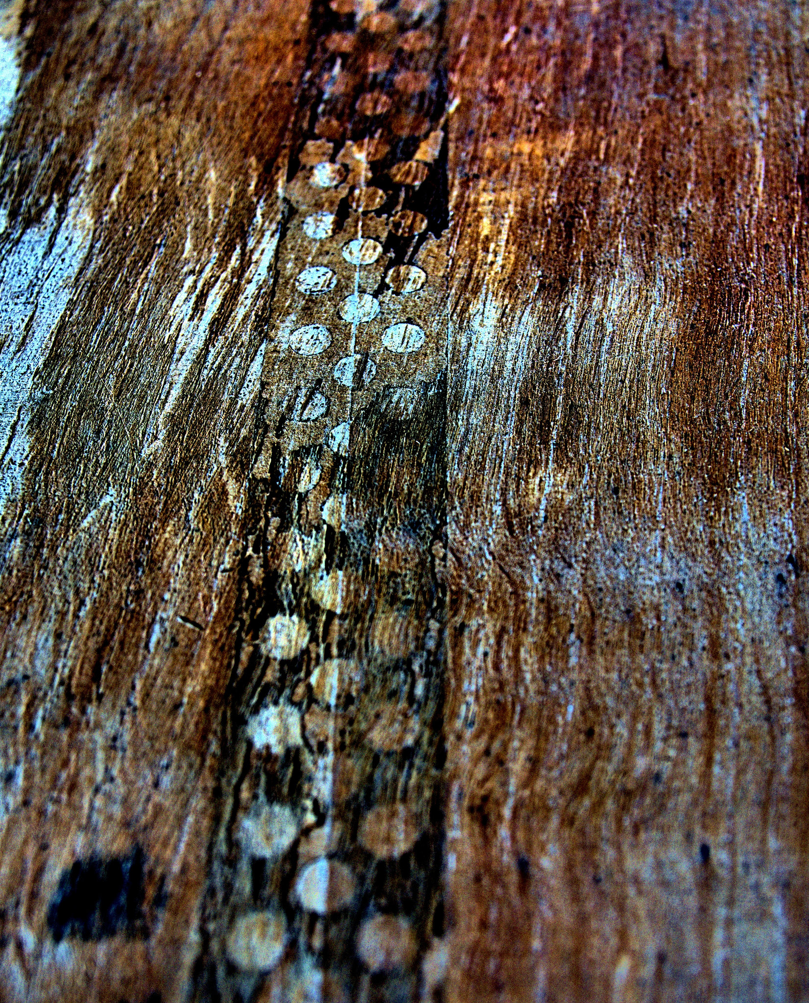 Wood Reclamation Yard