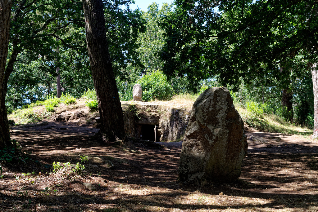 19.07.28 Tumulus de Kercado 2