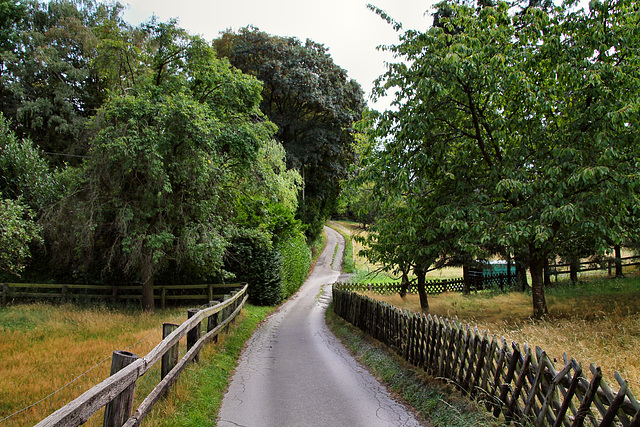 Im Brahm (Sprockhövel) / 16.08.2020