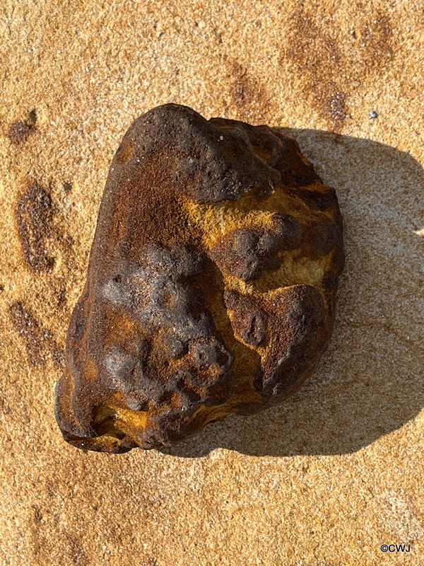 Iron sandstone - any geologists looking?