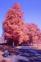 Levengrove Park - IRChrome