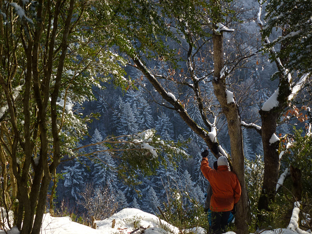 20150101 -03 Raquettes Vercors (33) al