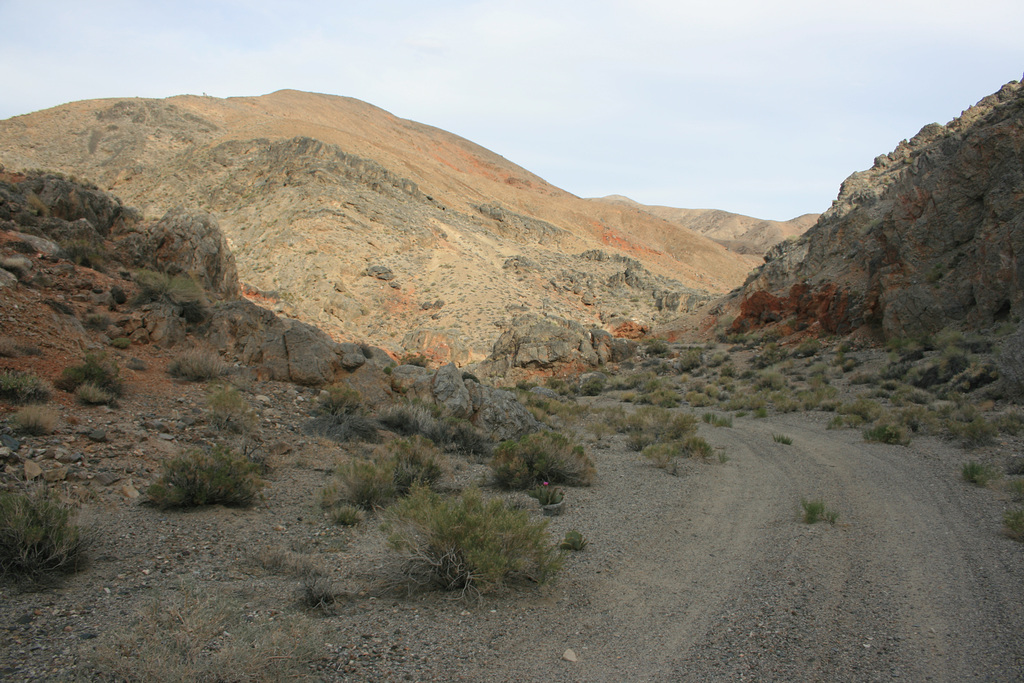 Horsethief Canyon