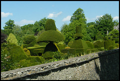 Levens Hall topiary