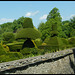 Levens Hall topiary