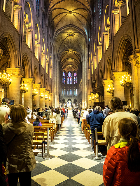 Cathédrale Notre-Dame de Paris