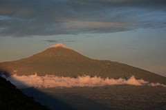 Congo, Mount Karisimbi (4507 m) Viewed from the Ascent to Nyiragongo Volcano